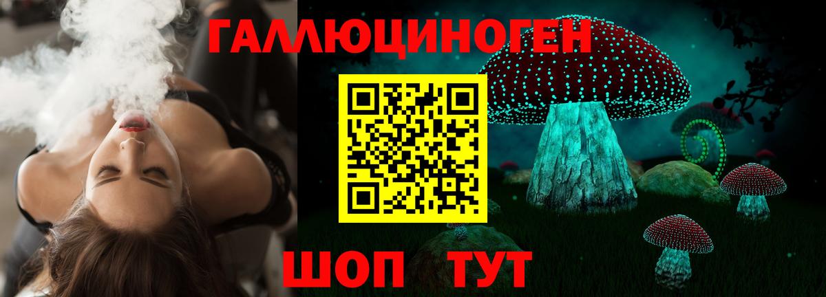 купить закладку  Галлюциногенные грибы Psilocybine cubensis  Вход с VPN  Псилоцибиновые грибы GOLDEN TEACHER  Медногорск 